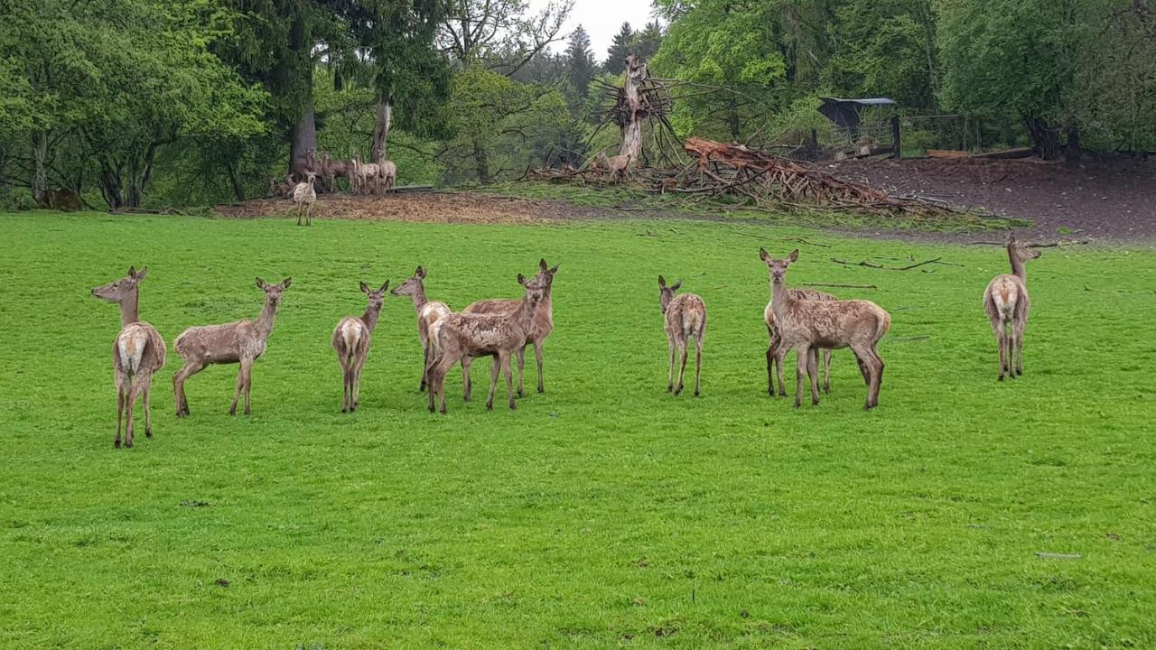 Ferienwohnung Im Gartenparadies Eurasburg Exteriör bild